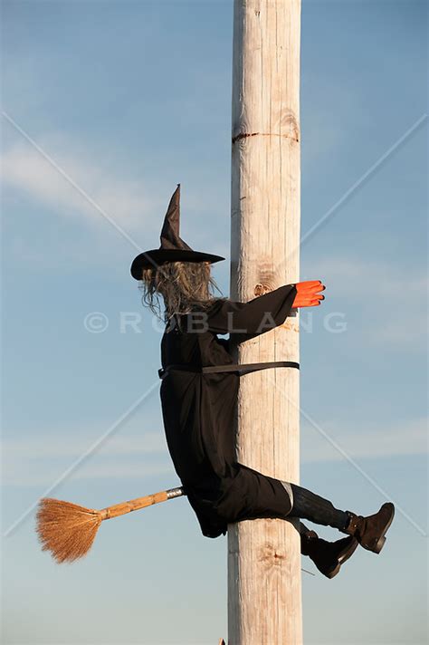 Halloween wutch on pole